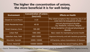 OlyLife Bama A9 Anion Generator